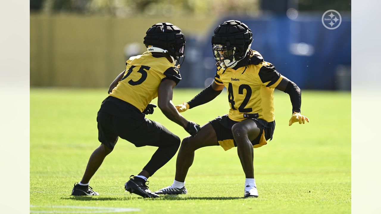 Gallery: Steelers Finish Preparations for Week 1