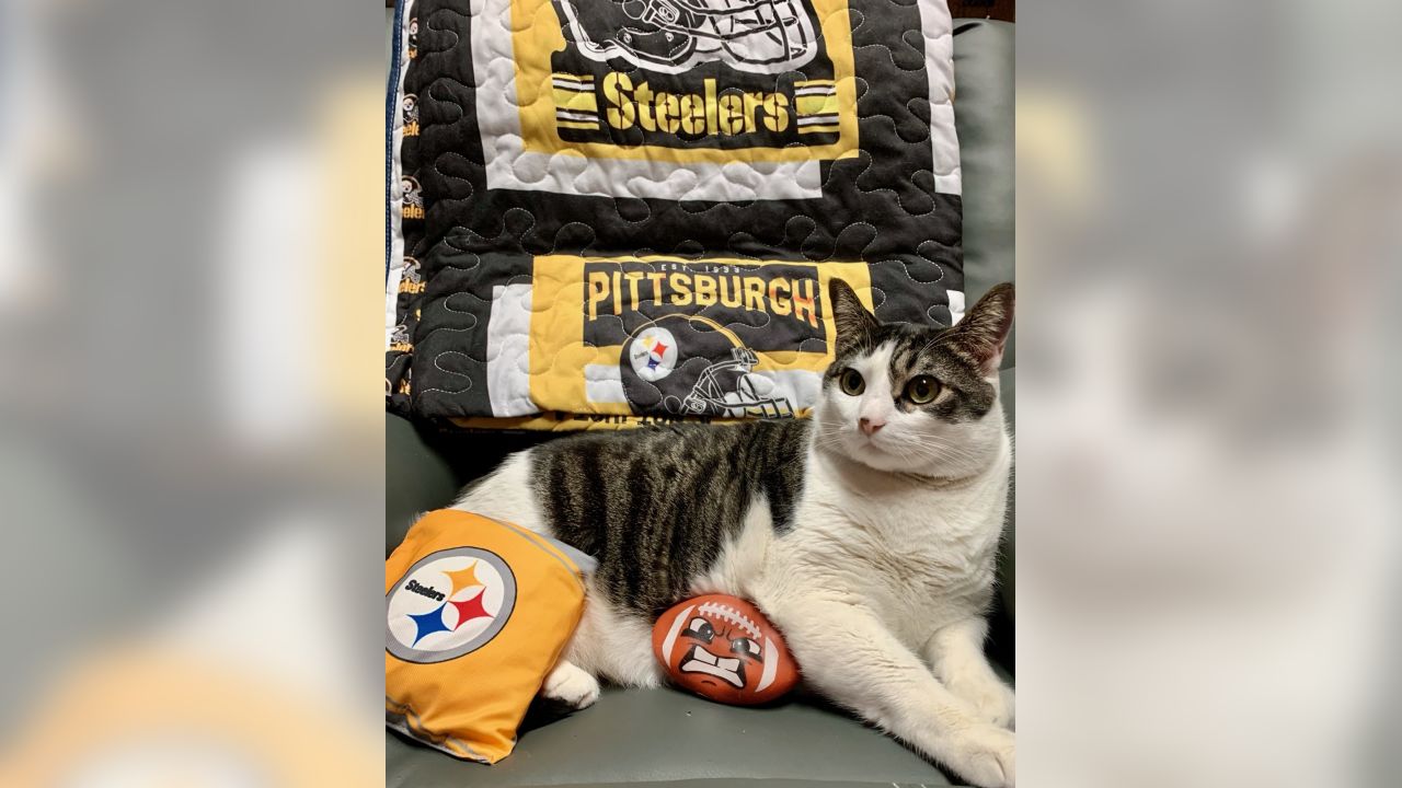 These four-legged fans know how to - Pittsburgh Steelers