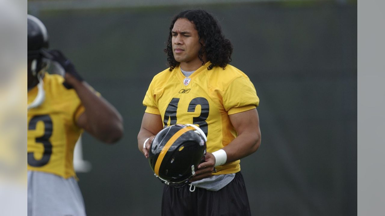 5 things we'll miss about Troy Polamalu 