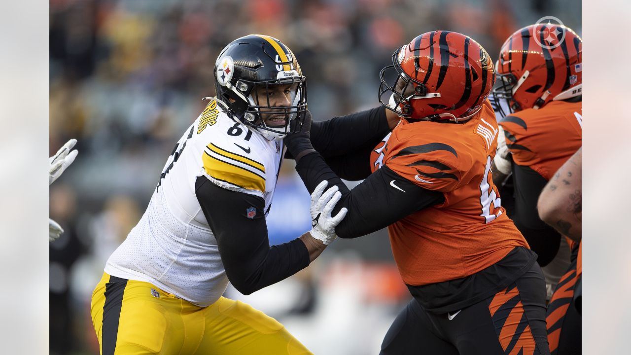 Pittsburgh Steelers vs Cincinnati Bengals - November 28, 2021