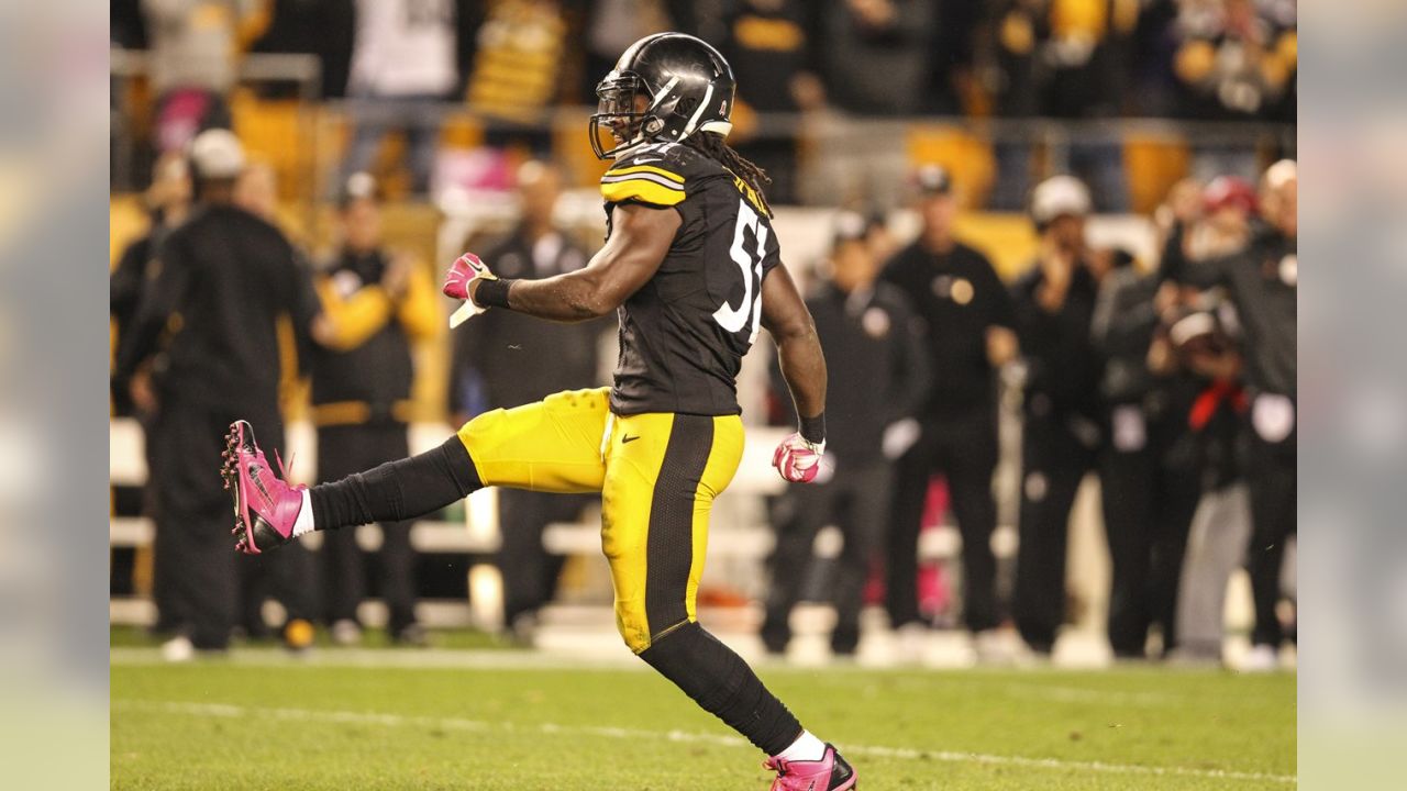 NFL tone-deaf to limit DeAngelo Williams wearing pink - Sports