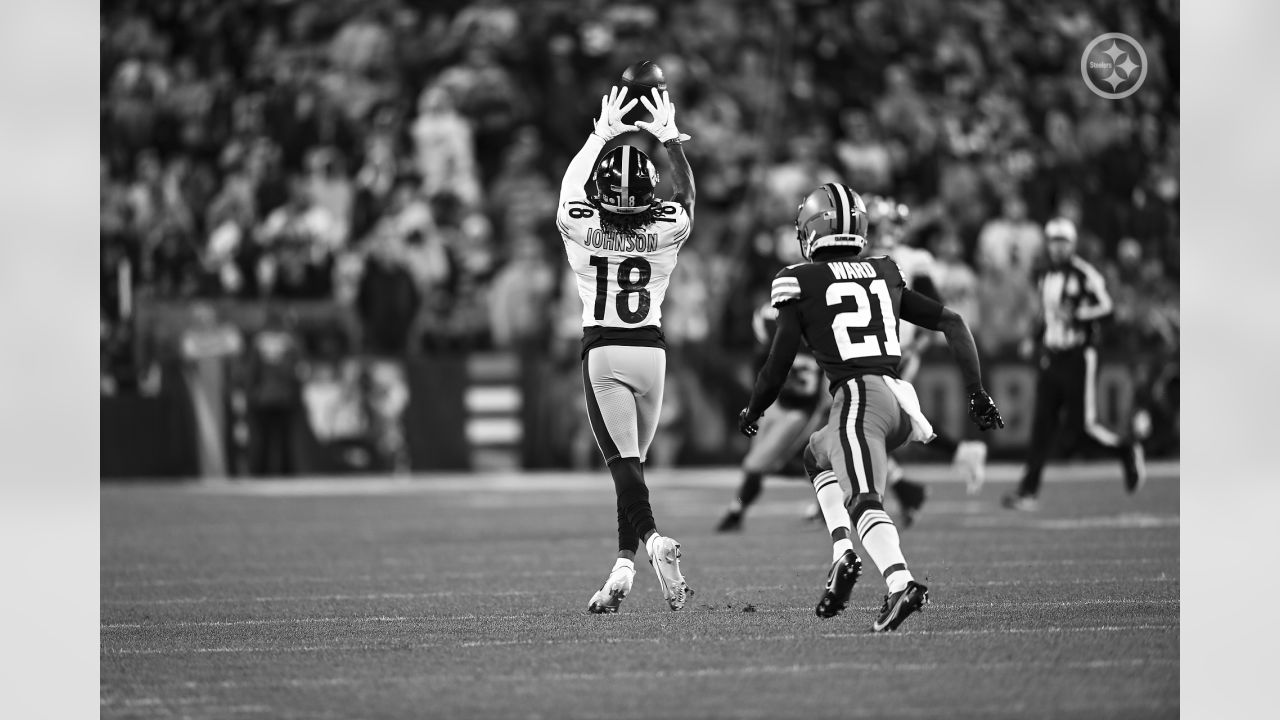 PHOTOS: Monochrome moments - Steelers at Browns