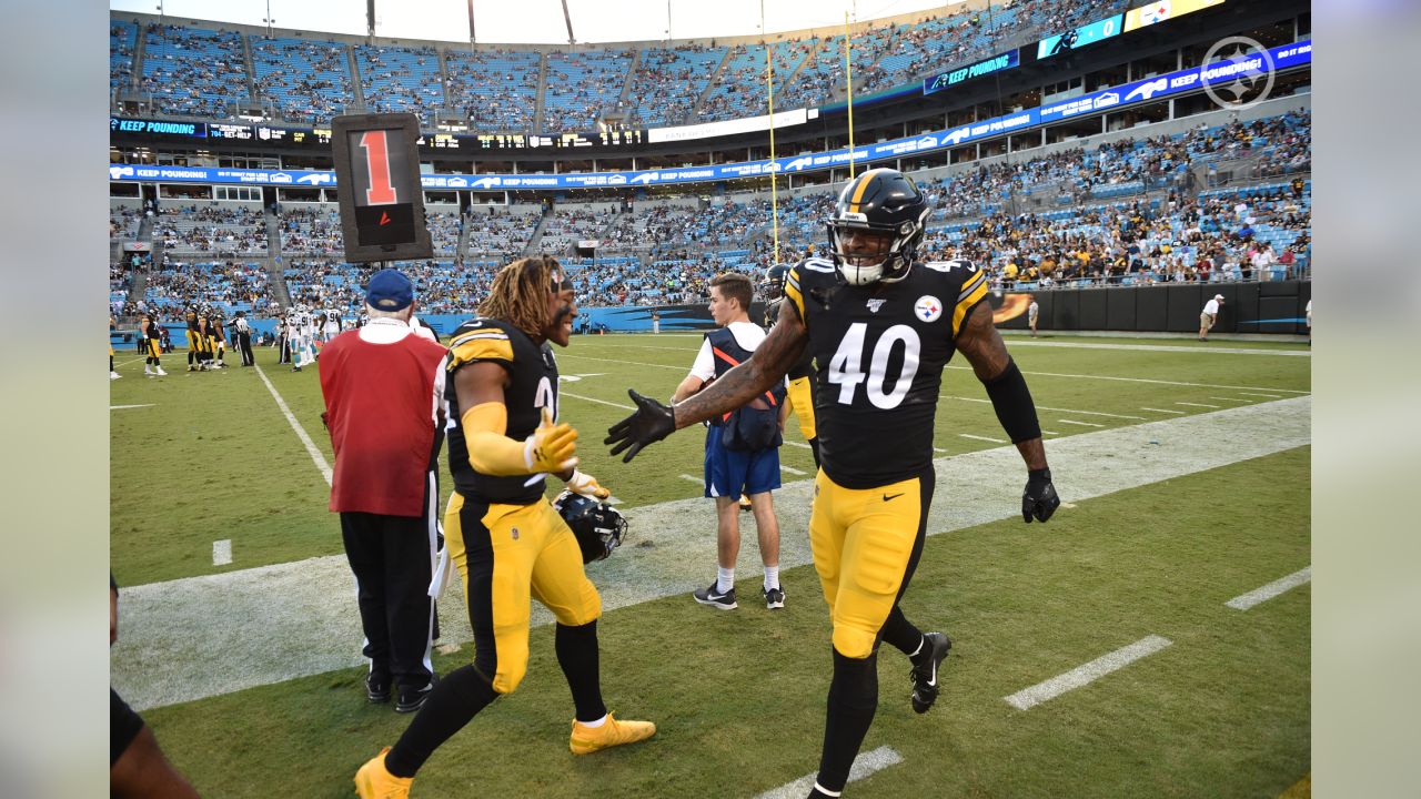 Steelers roll by Panthers 39-24 in preseason finale