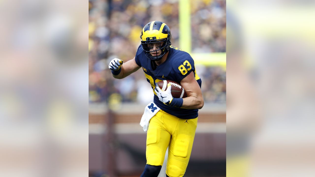 Pittsburgh Steelers draft Michigan football's Zach Gentry in Round 5