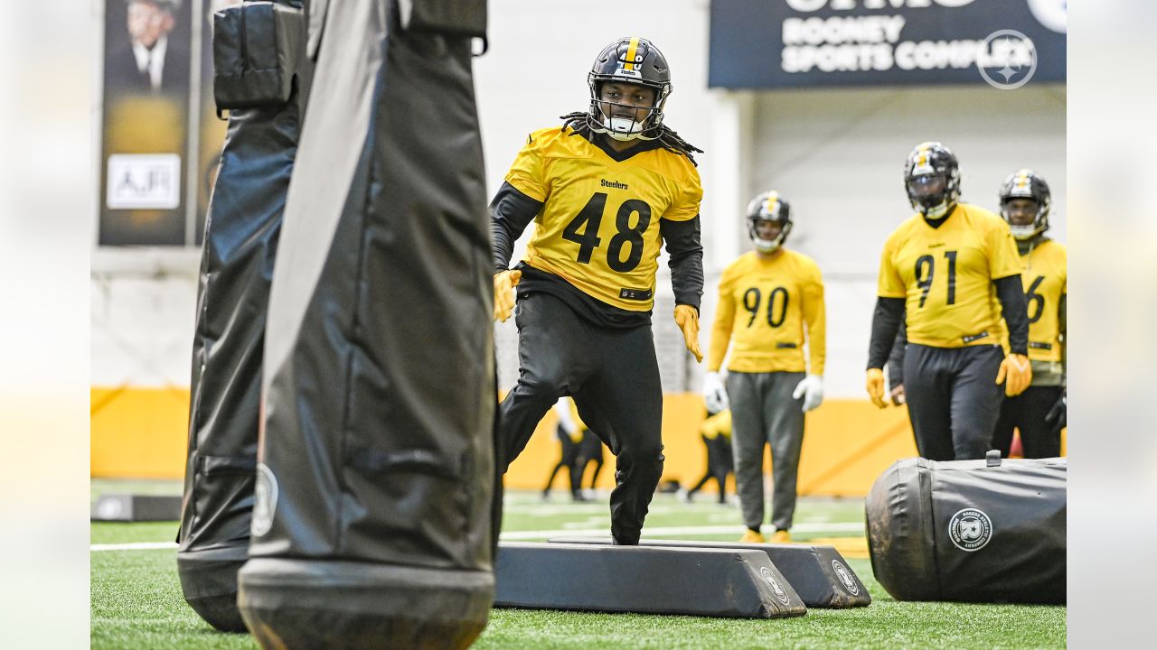 PITTSBURGH, PA - DECEMBER 11: Pittsburgh Steelers linebacker Jamir