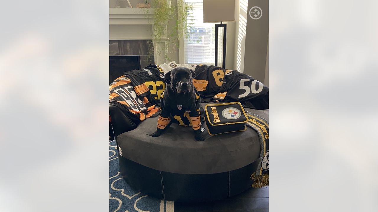 PHOTOS: My Steelers pet