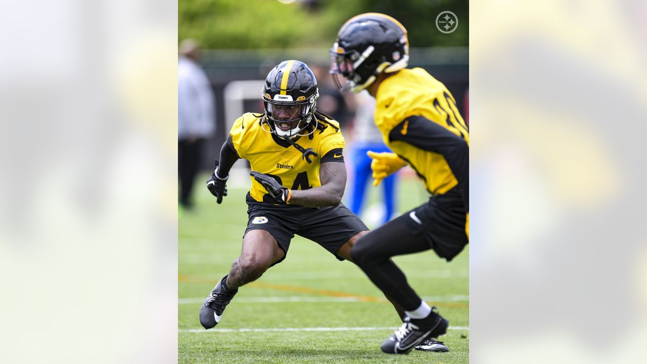 Pittsburgh Steelers safety Donald Washington (9) during NFL football rookie  minicamp, Saturday, May 7, 2016 in Pittsburgh. (AP Photo/Keith Srakocic  Stock Photo - Alamy