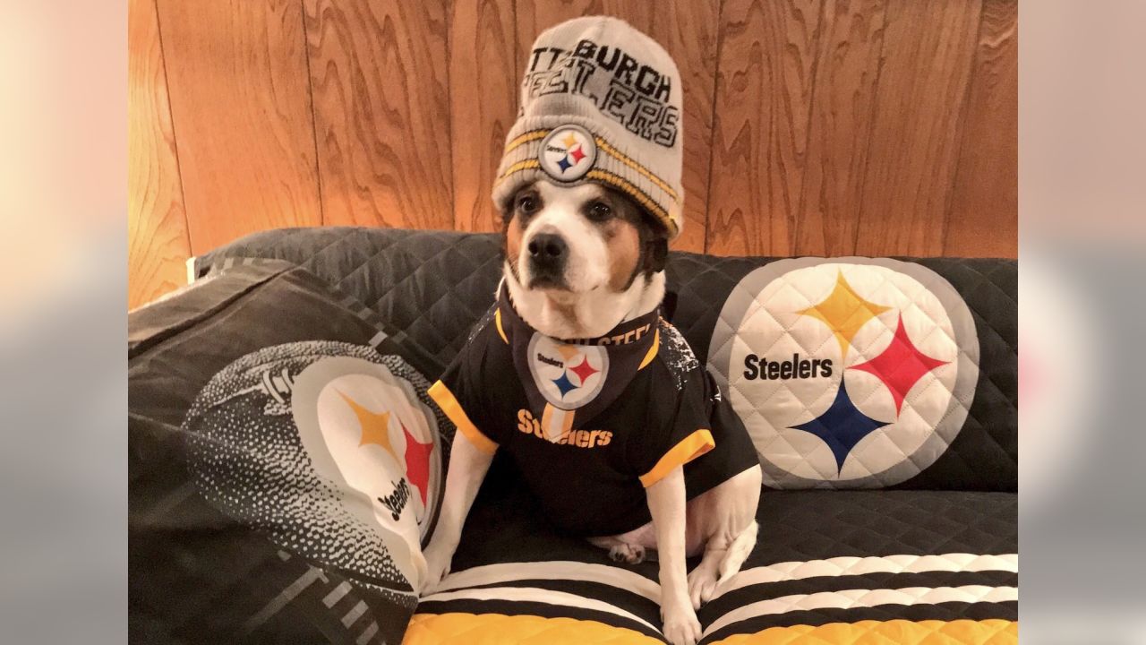 Steeler Dog Scarf