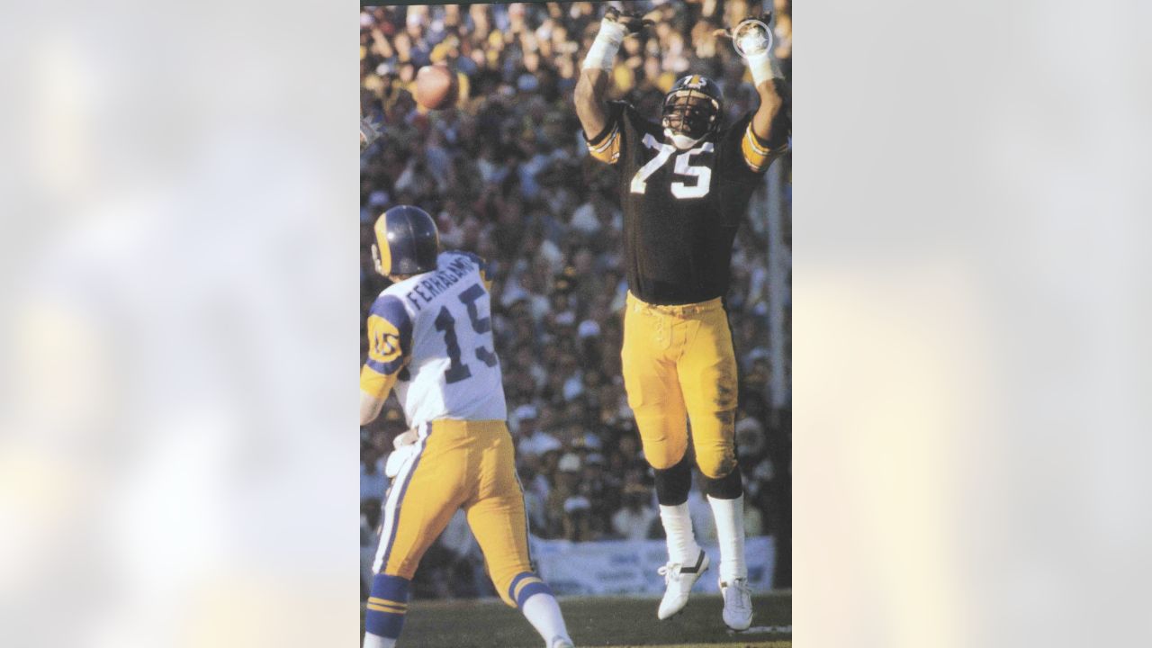 Pittsburgh Steelers L.c. Greenwood, 1980 Afc Championship Sports