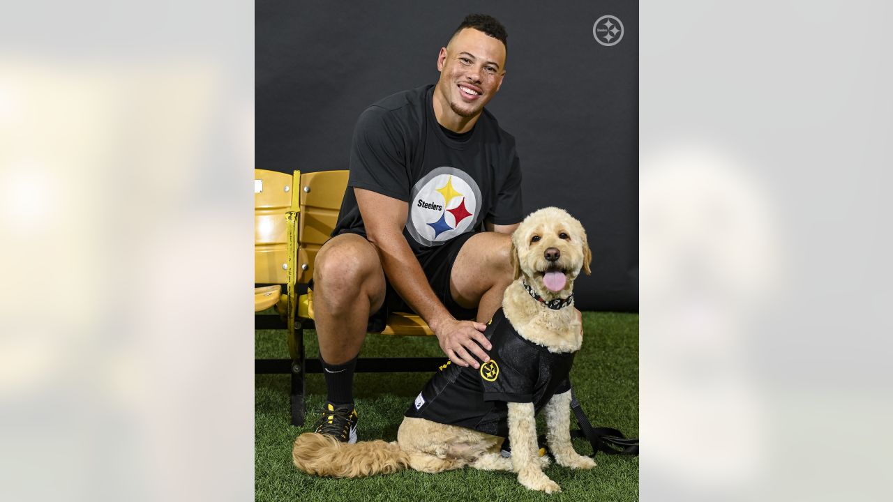 These #Steelers pets are pumped to - Pittsburgh Steelers