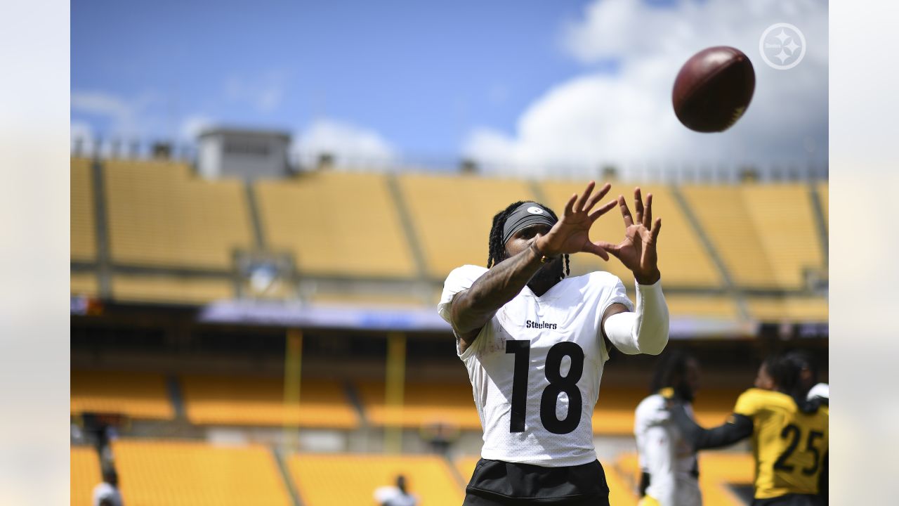 PHOTOS: Best of wide receivers at Steelers Camp