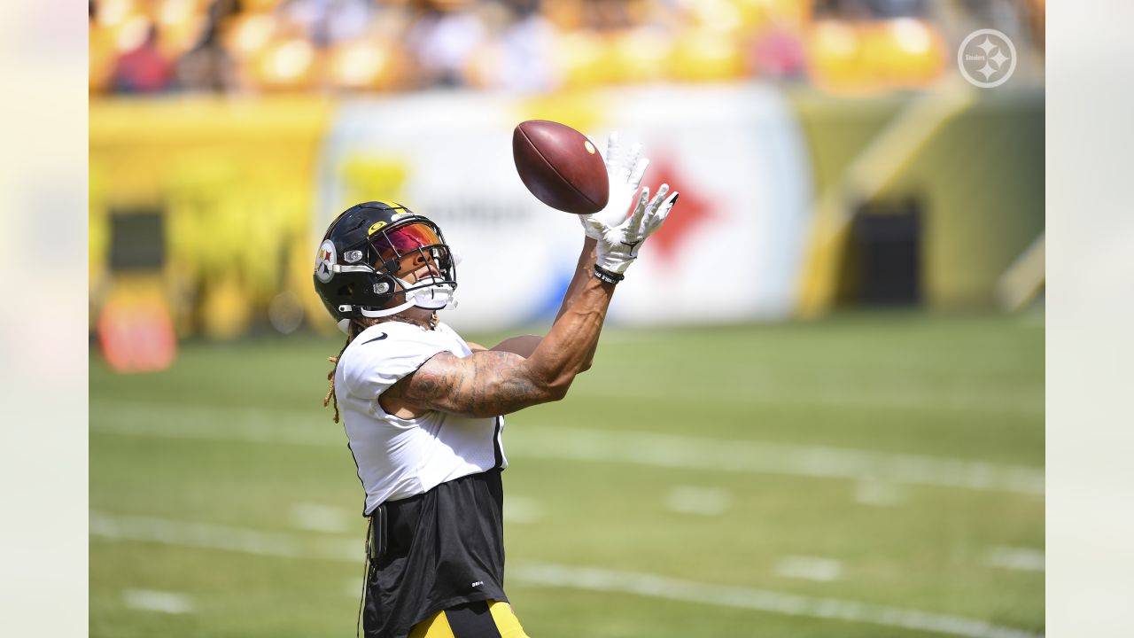 2021 Pittsubrgh Steelers Roster Outlook: The Wide Receivers