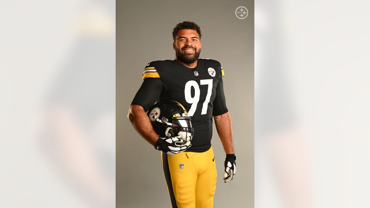 Profile on Pittsburgh Steelers No. 97 DE Cameron Heyward