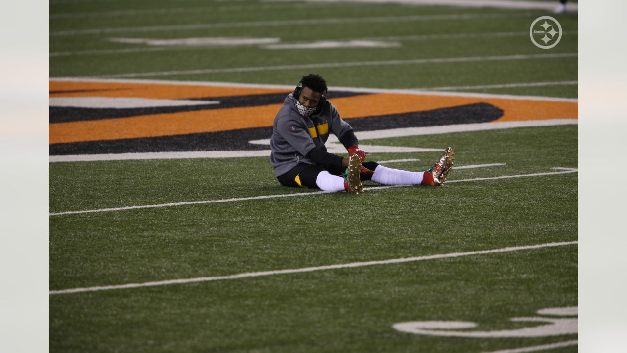 Photo Gallery: Week 15  Pittsburgh Steelers at Cincinnati Bengals