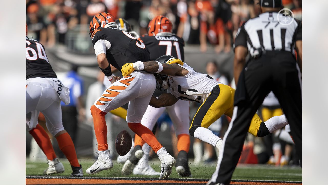 PHOTOS: Karl's top pics - Steelers at Bengals