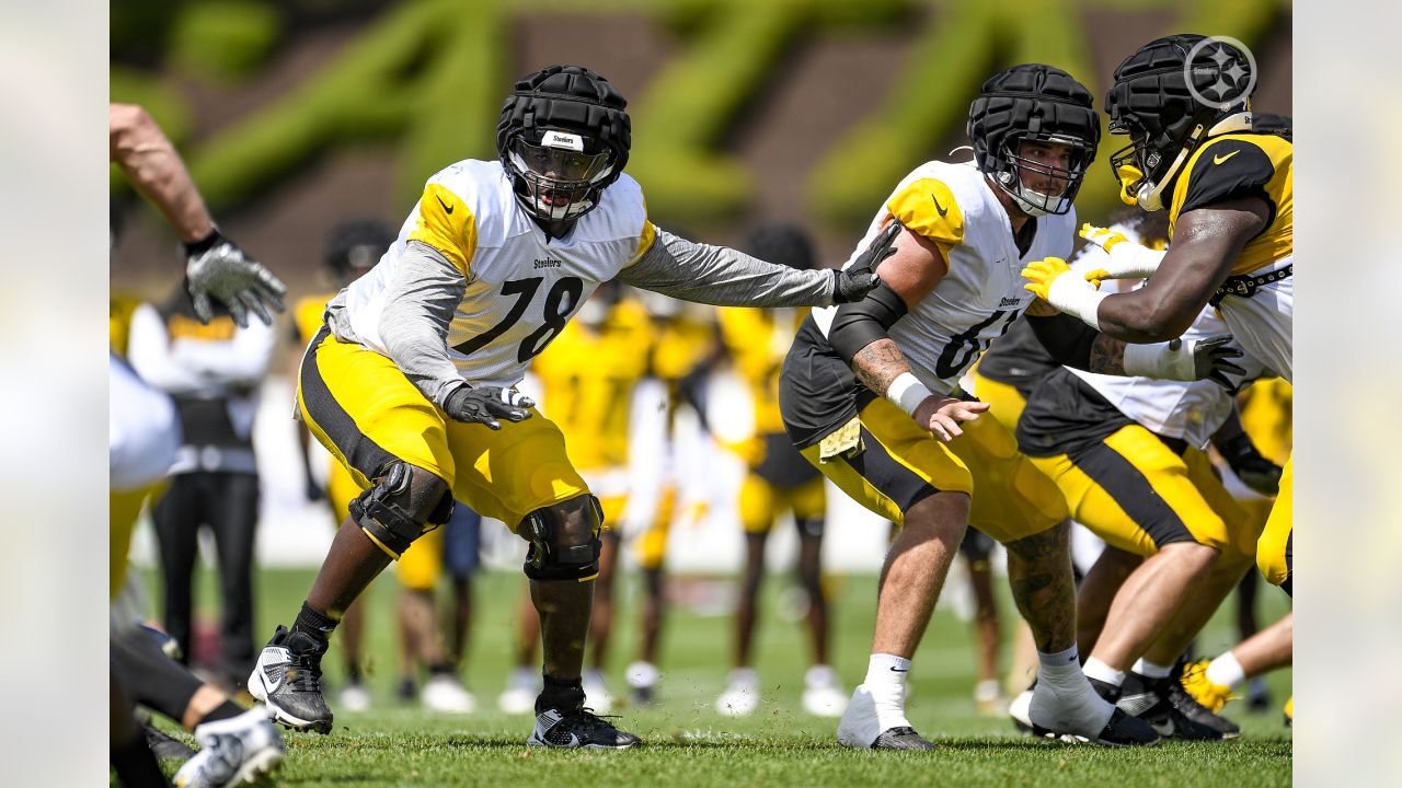 2023 Steelers Training Camp Preview: The Cornerbacks - Steel City  Underground