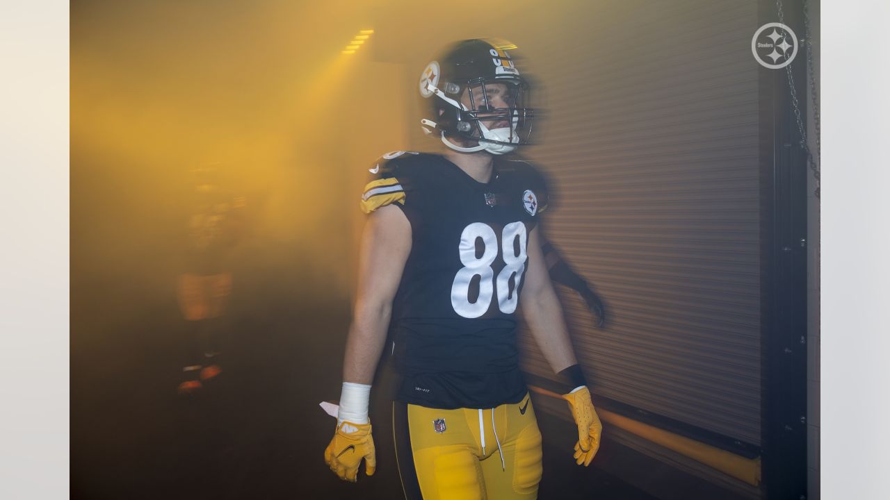 Pittsburgh Steelers tight end Pat Freiermuth (88) celebrates after catching  a touchdown pass against the Detroit Lions during an NFL football game,  Saturday, Aug. 21, 2021 in Pittsburgh, PA (AP Photo/Matt Durisko