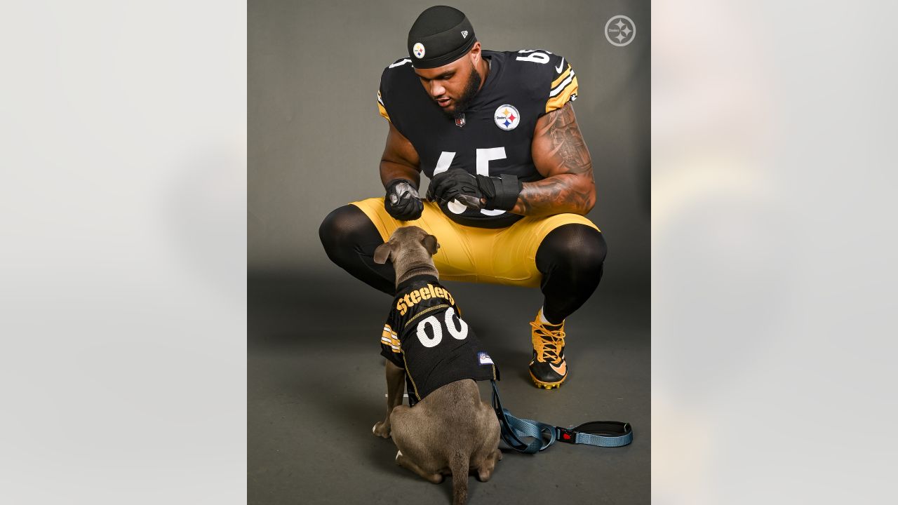 PHOTOS: Steelers Pets - July 7