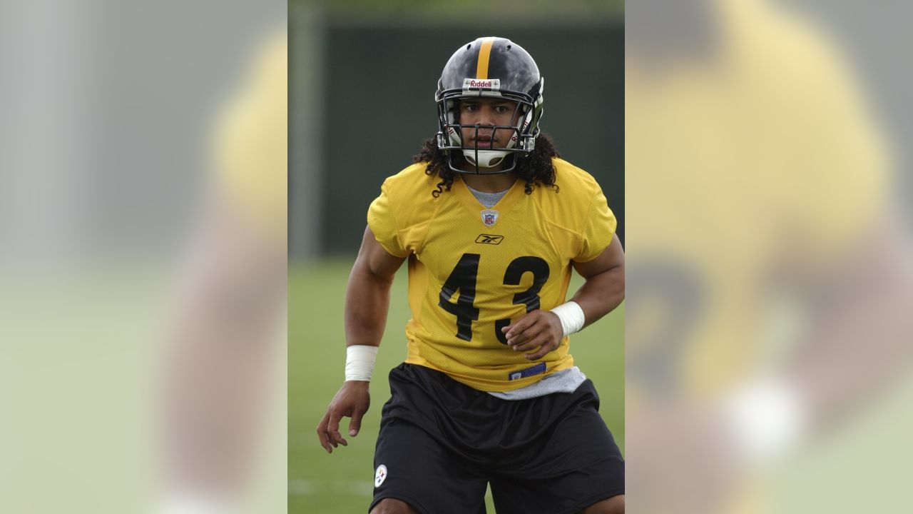 Welcome To My World': Bill Cowher Recalls Big Ben's Complaints About Troy  Polamalu On Scout Team Defense - Steelers Depot