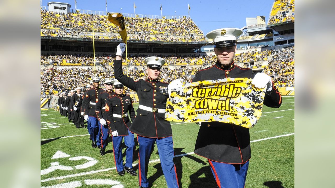 Steelers boast decorated veterans