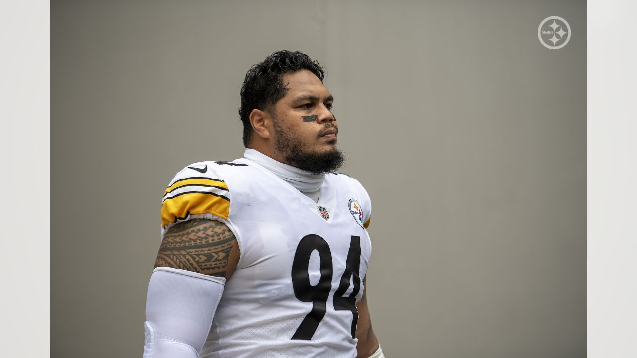 Pittsburgh Steelers defensive end Tyson Alualu (94) during an NFL