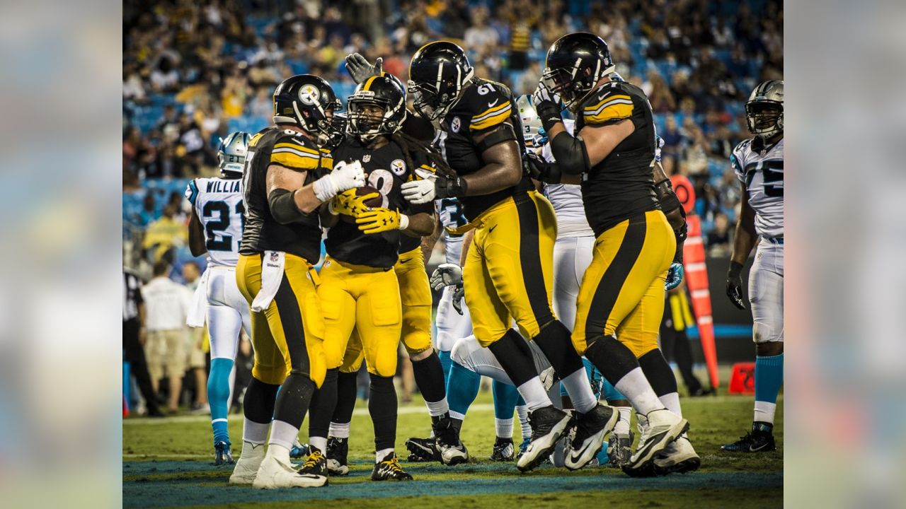 Photo: CAROLINA PANTHERS VS PITTSBURGH STEELERS - CHP2006121718