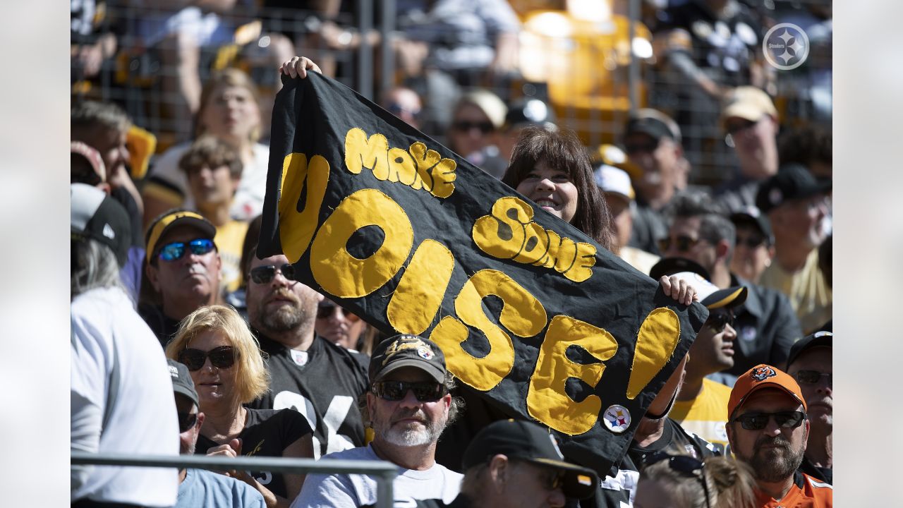 Bengals Fans: Facebook Declares Pittsburgh Steelers As Most Liked