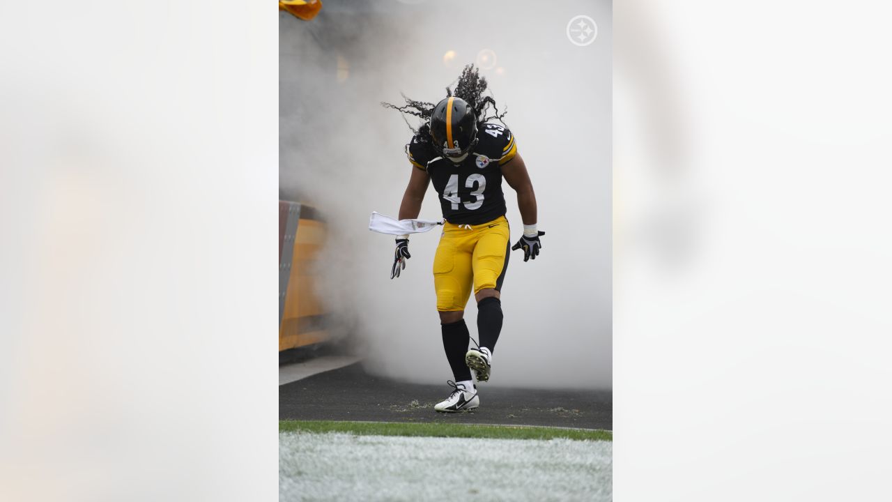 Download Troy Polamalu at the Steelers game Wallpaper