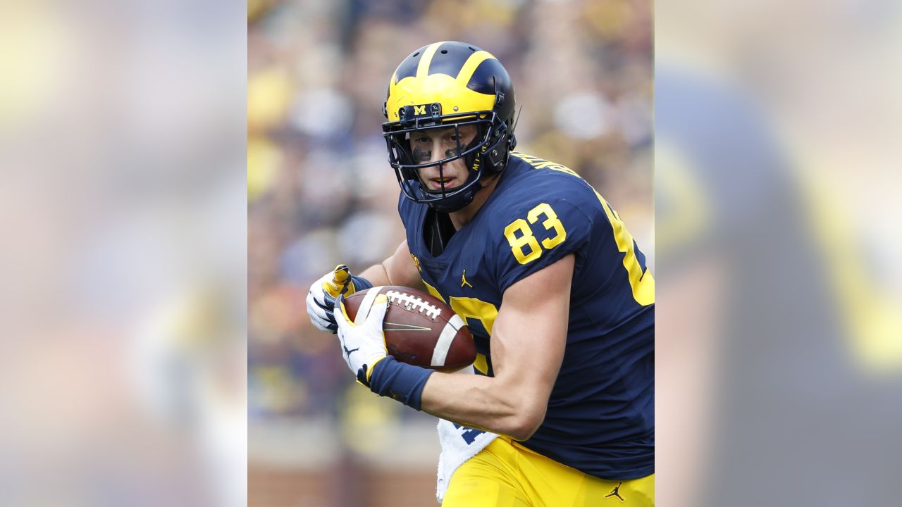 Towering Zach Gentry gives Steelers clarity in tight end pecking order