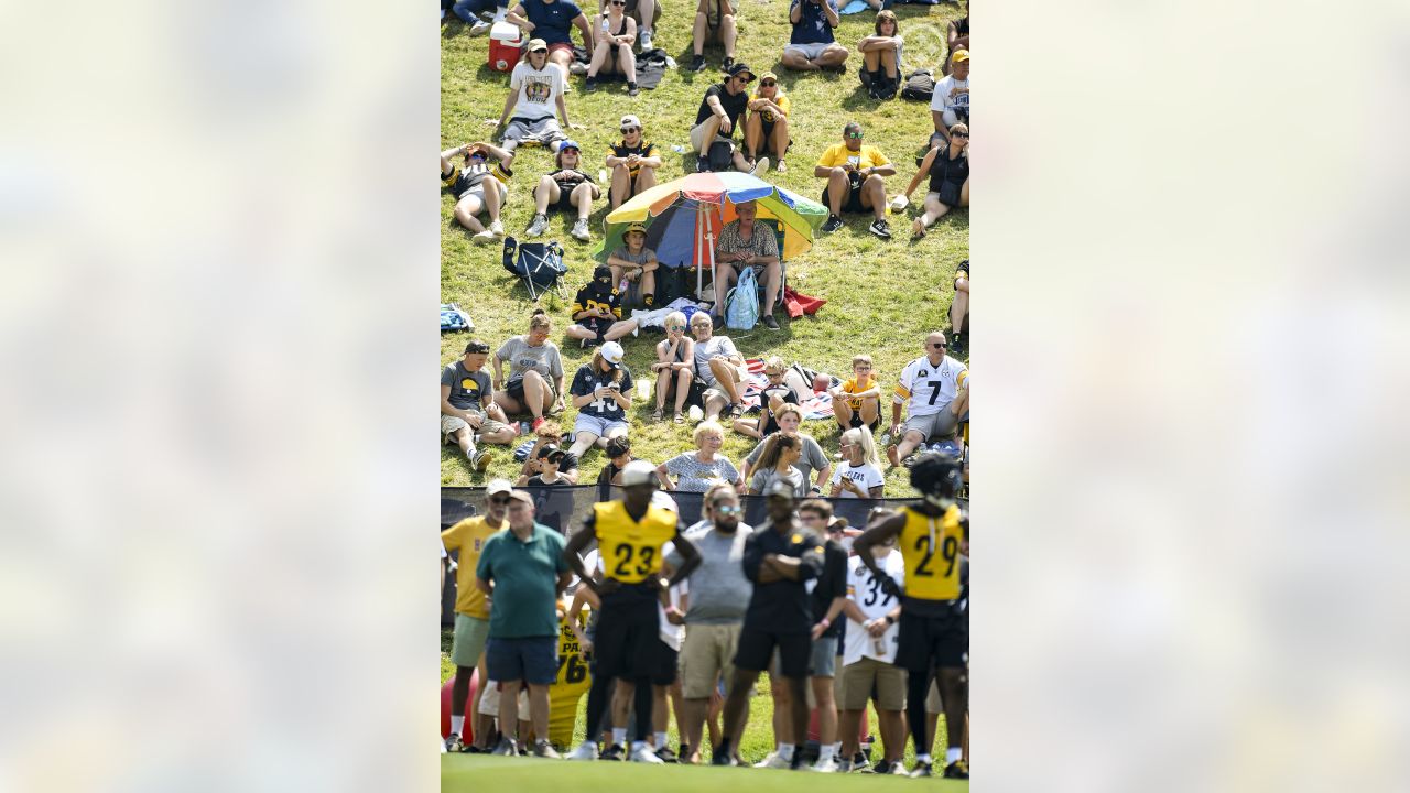 Pittsburgh Steelers receiver Mike Wallace catches a pass during a drill  during NFL training camp in Latrobe, Pa., Friday, July 29, 2011. (AP  Photo/Gene J. Puskar Stock Photo - Alamy