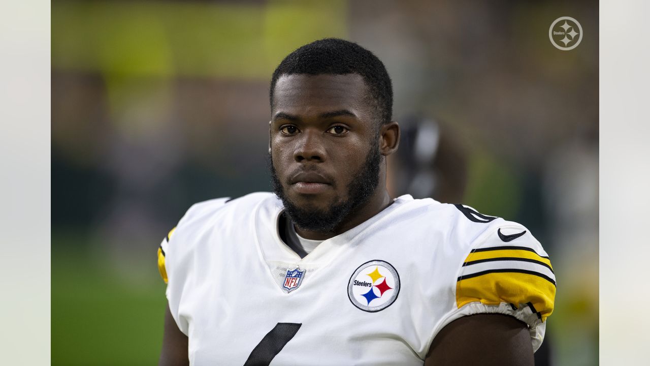 P Pressley Harvin III: Meet The Steelers' Seventh Round Pick - Steelers  Depot