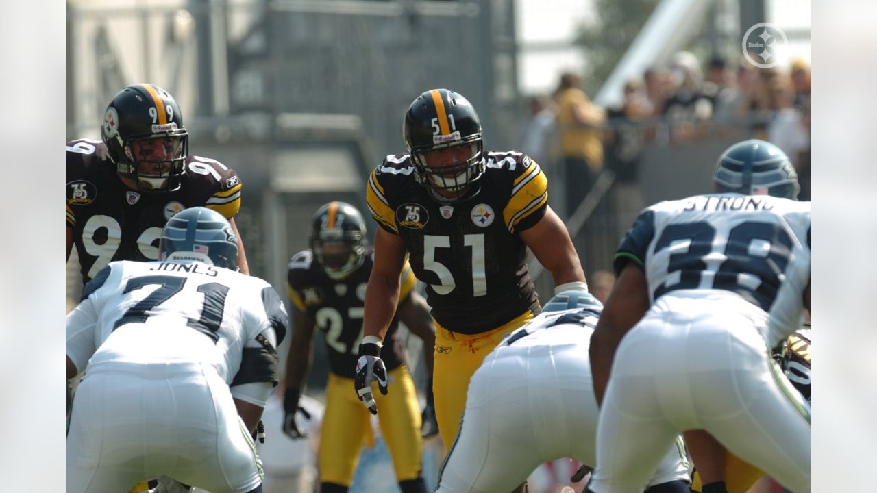 Steelers add Troy Polamalu, Dwight White, Greg Lloyd, James Farrior, Mike  Wagner to Hall of Honor