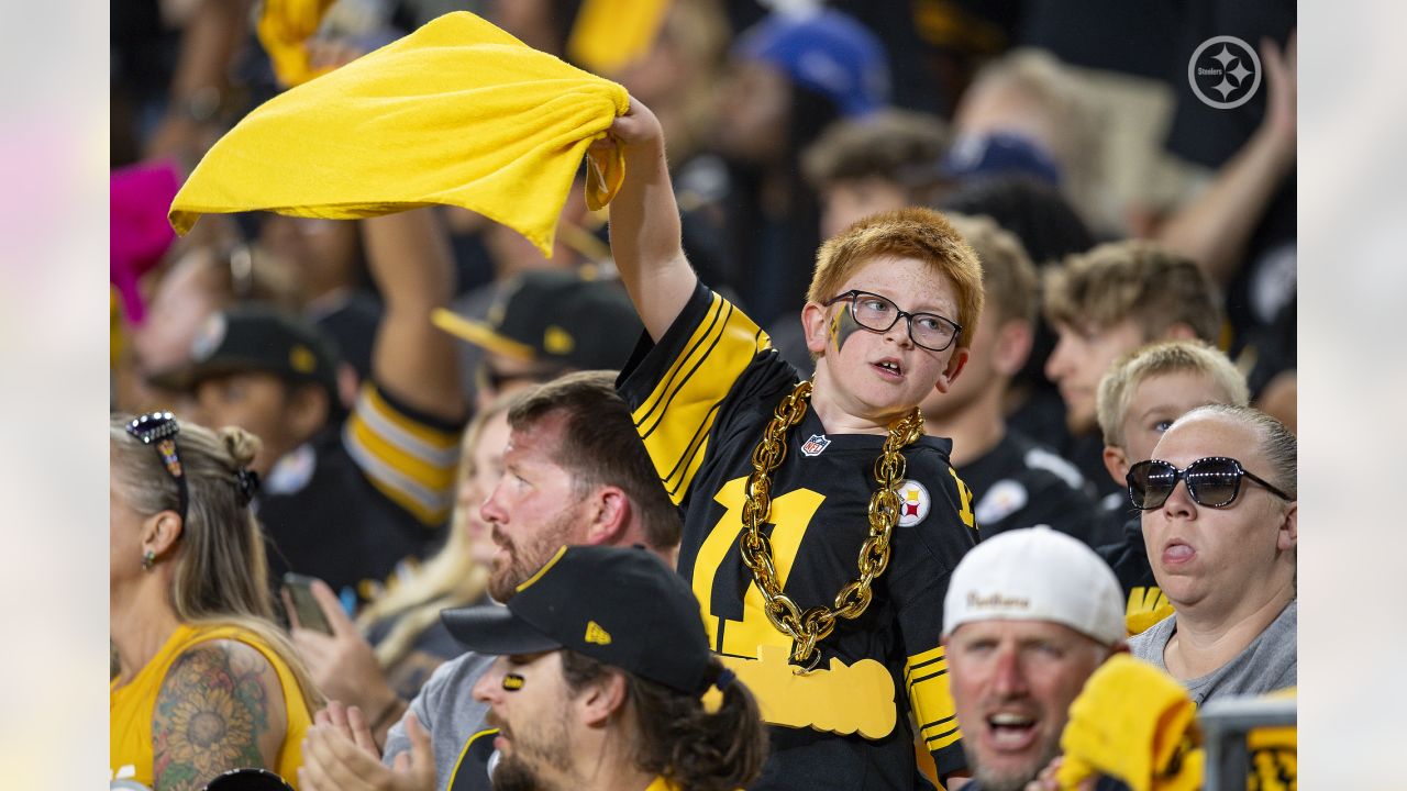 PHOTO GALLERY, Steelers beat Bills 27-15 in second preseason game