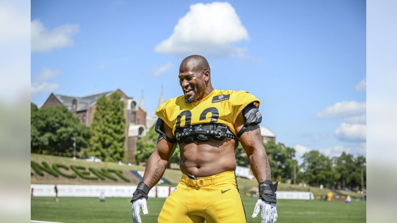 James Harrison Entering 2015 With A Football Mindset - Steelers Depot