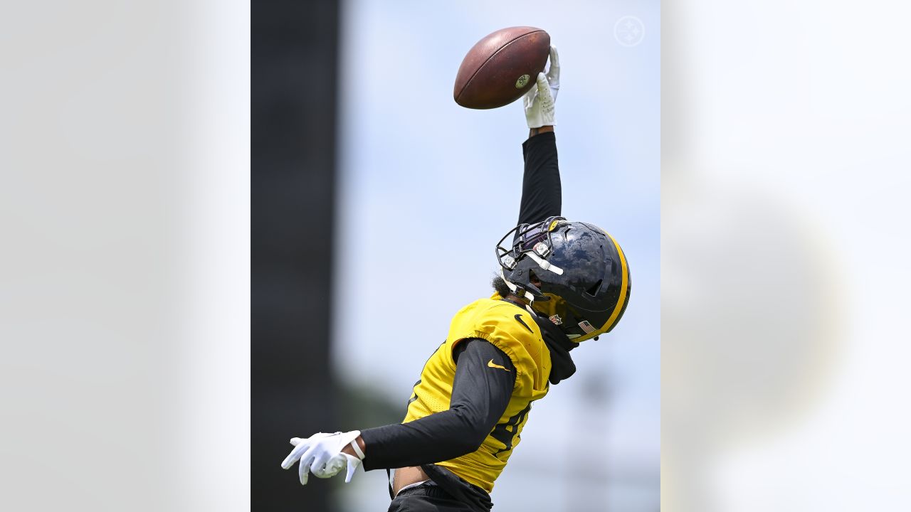 Steelers Four Most Pressing Offseason Questions Entering Minicamp - Steelers  Depot