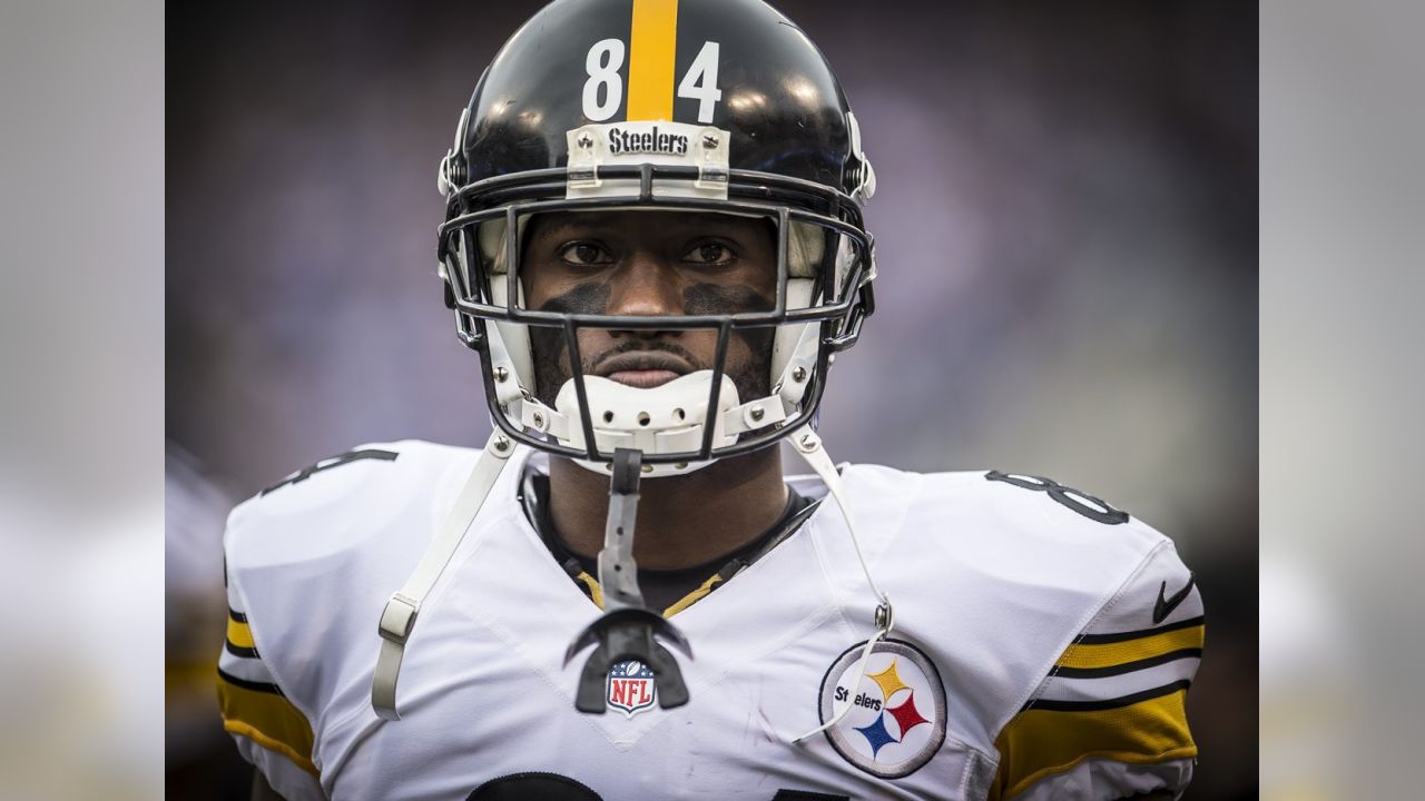 Troy Polamalu, Mike Tomlin? Who To Blame for the Steelers' Super