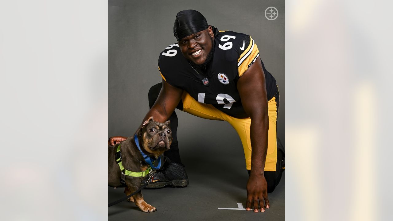 These #Steelers pets are pumped to - Pittsburgh Steelers