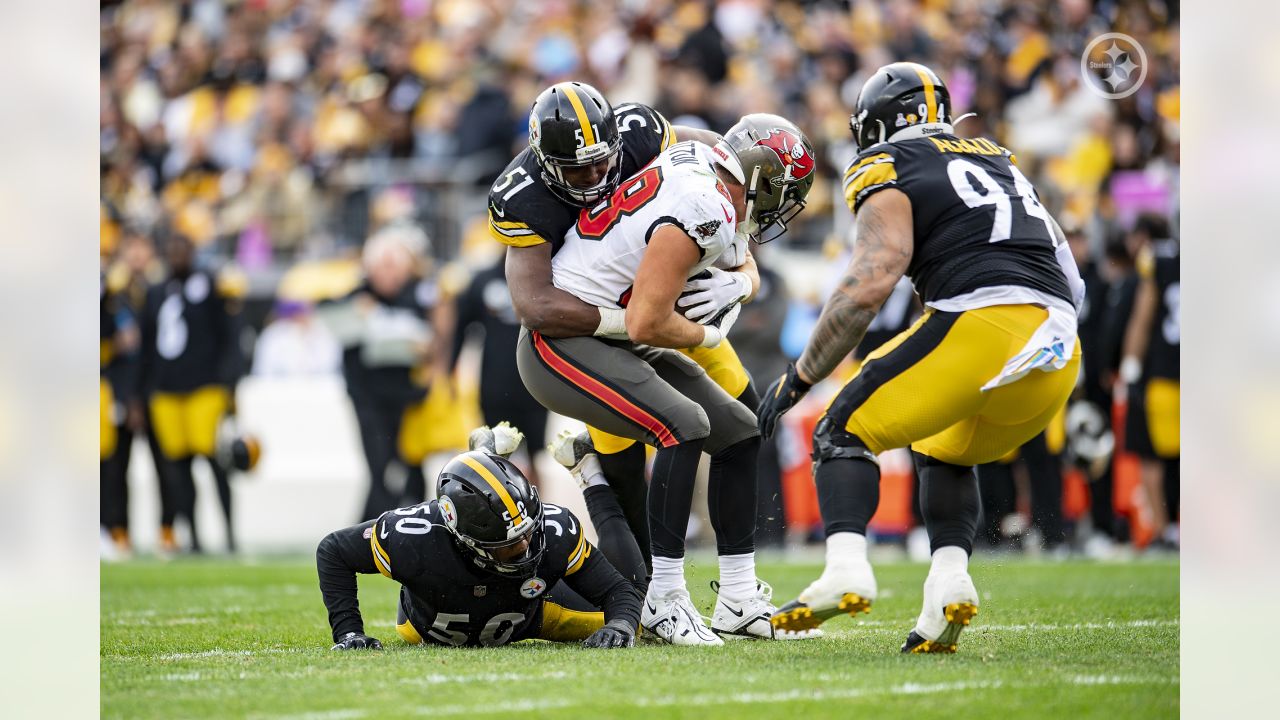 Pittsburgh Steelers defensive end Tyson Alualu (94) celebrates as