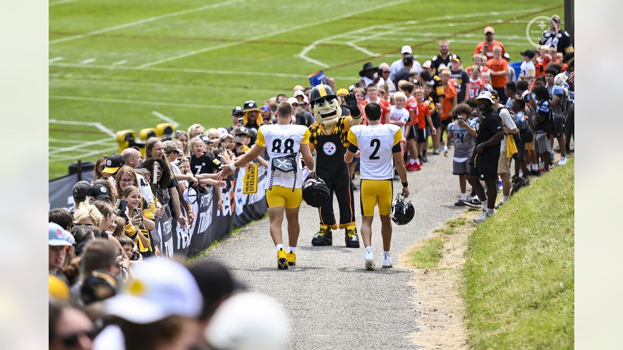 Pittsburgh Steelers receiver Mike Wallace catches a pass during a drill  during NFL training camp in Latrobe, Pa., Friday, July 29, 2011. (AP  Photo/Gene J. Puskar Stock Photo - Alamy