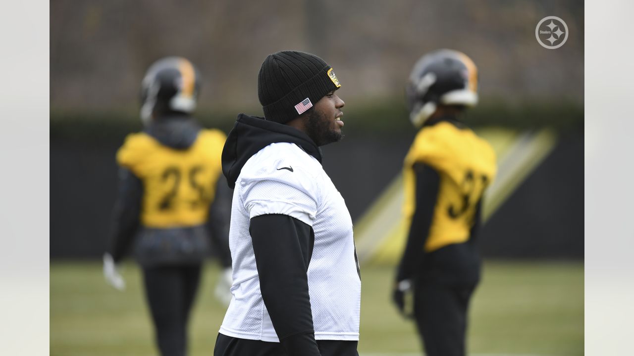 Steelers notes: Pressley Harvin III happy to have rare company among NFL  punters