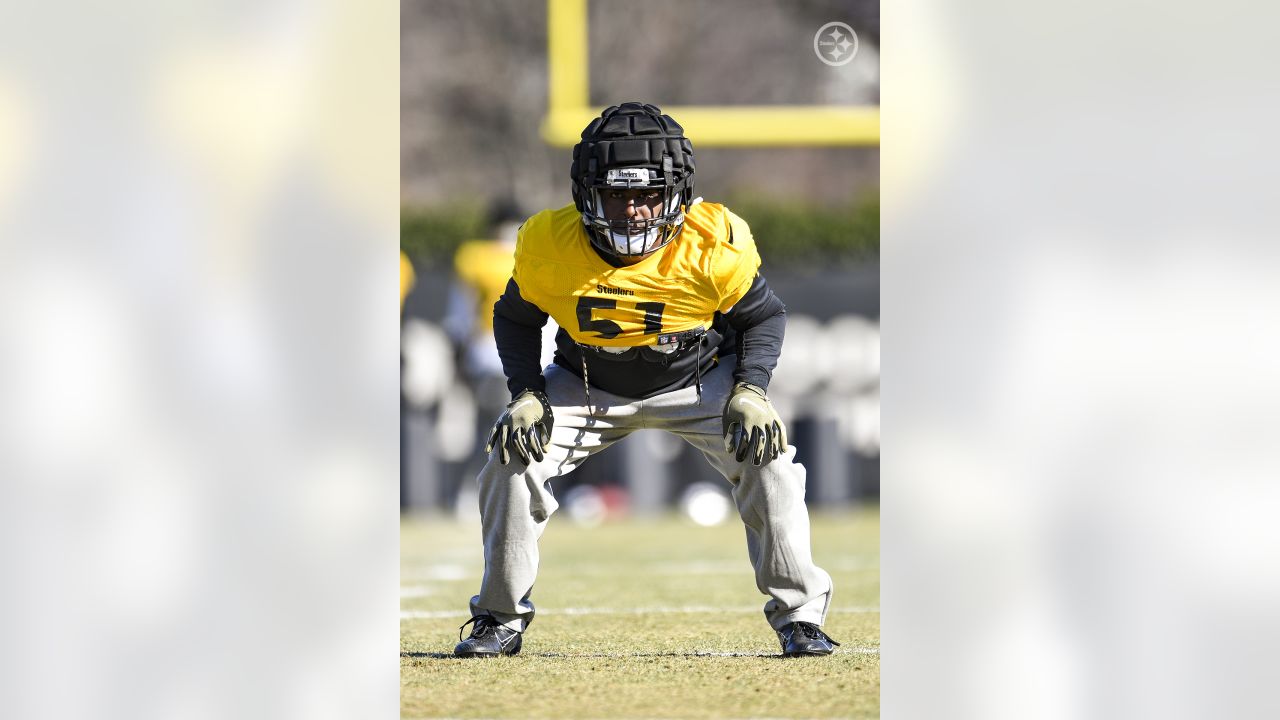 Steelers 2-a-days: Will Diontae Johnson score TDs? RB Jason Huntley a  change-of-pace option