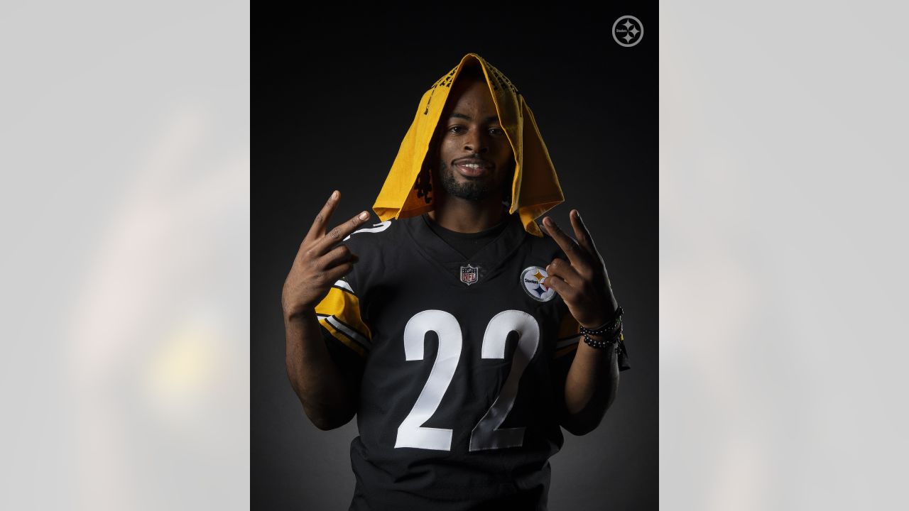 steelers 22 harris