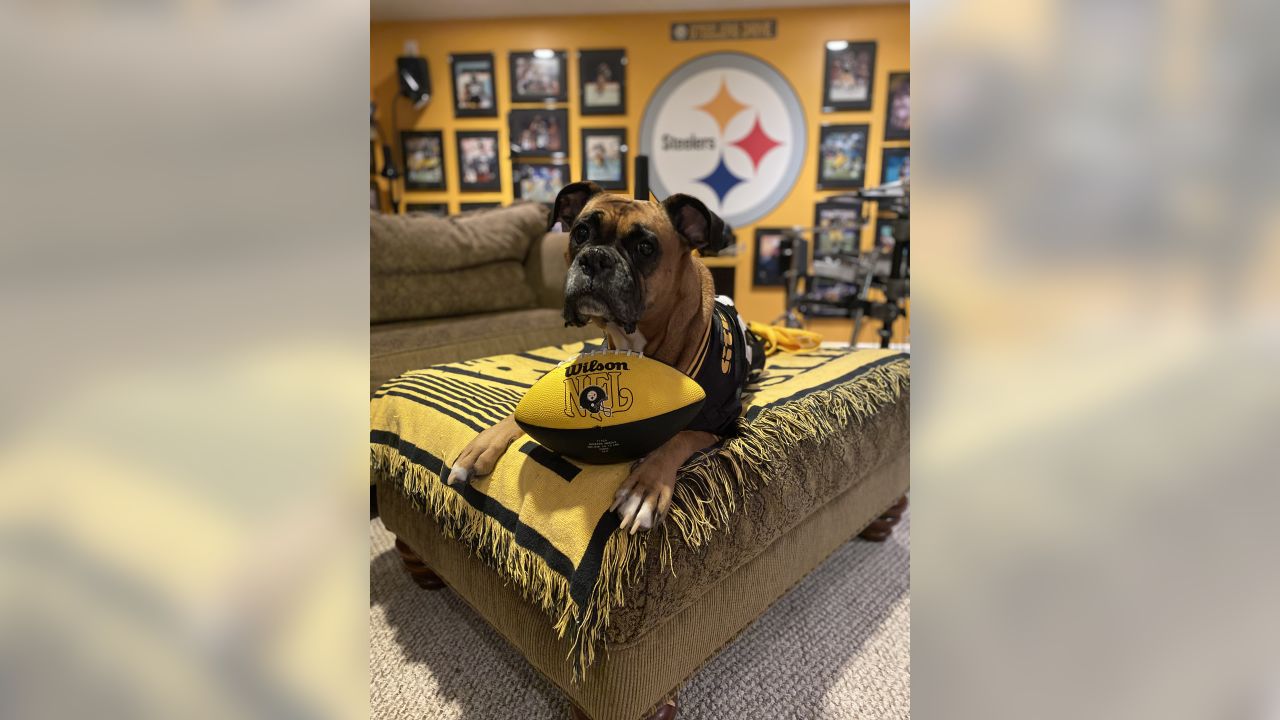 Me and My Steelers Pet