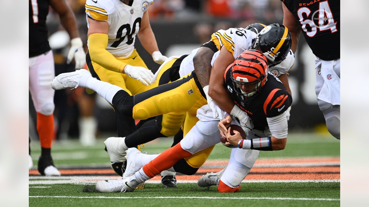 Cincinnati Bengals tight end Drew Sample (89) lines up for a play during an  NFL football game against the Pittsburgh Steelers, Sunday, Sep. 11, 2022,  in Cincinnati. (AP Photo/Kirk Irwin Stock Photo - Alamy