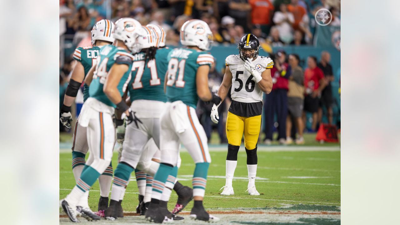 Pittsburgh Steelers linebacker Alex Highsmith hunts Las Vegas Raiders  quarterback Derek Carr down for 13-yard sack on third down