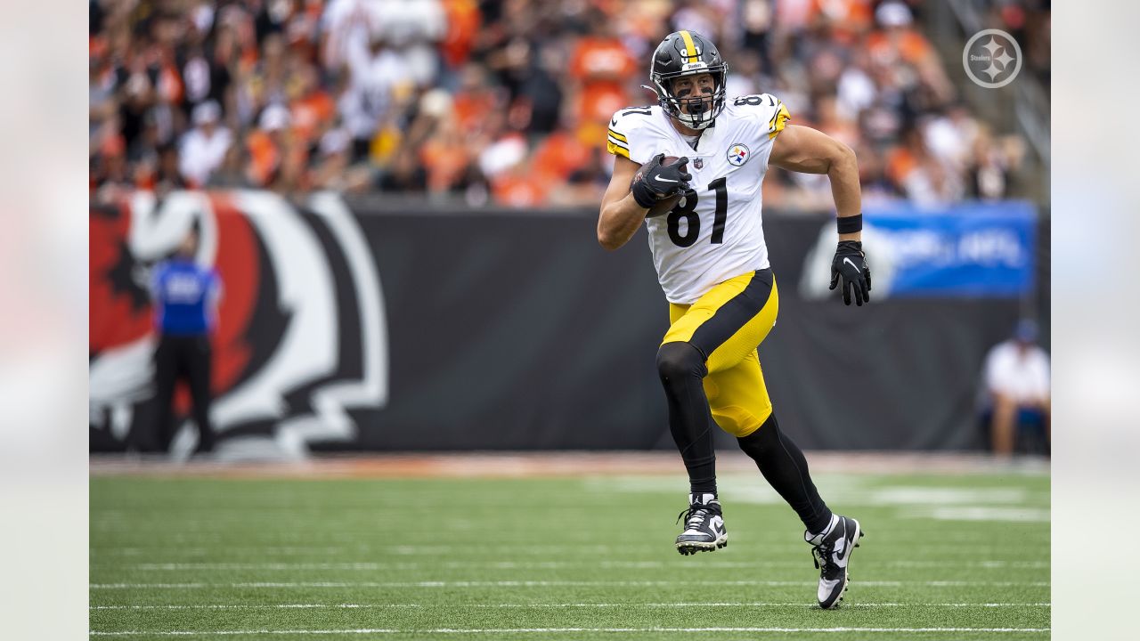 Pittsburgh Steelers tight end Zach Gentry (81) looks on during an NFL  football game, Sunday, Oct. 2, 2022, in Pittsburgh, PA. (AP Photo/Matt  Durisko Stock Photo - Alamy