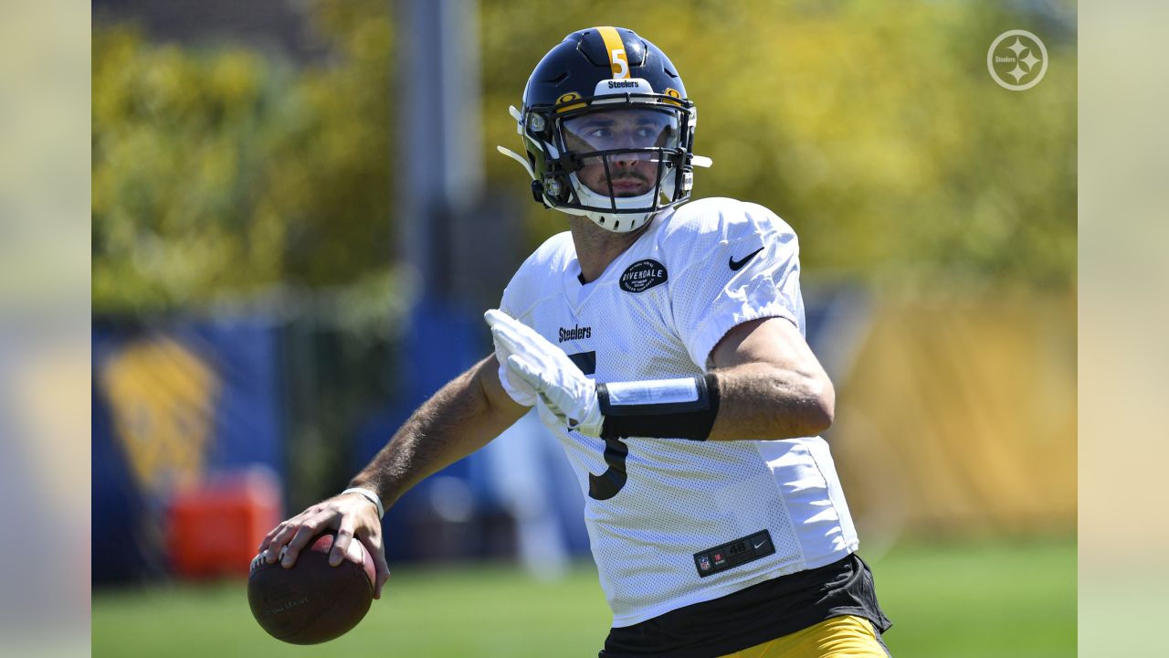 The right Fitz: Steelers' Fitzpatrick looks to build on 2020 - The San  Diego Union-Tribune