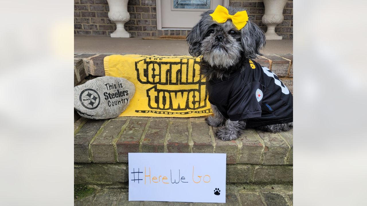 Here we go: Steelers fans gear up for playoffs, News