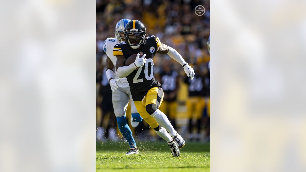 Photo gallery from Lions' 19-9 preseason loss in Pittsburgh – The