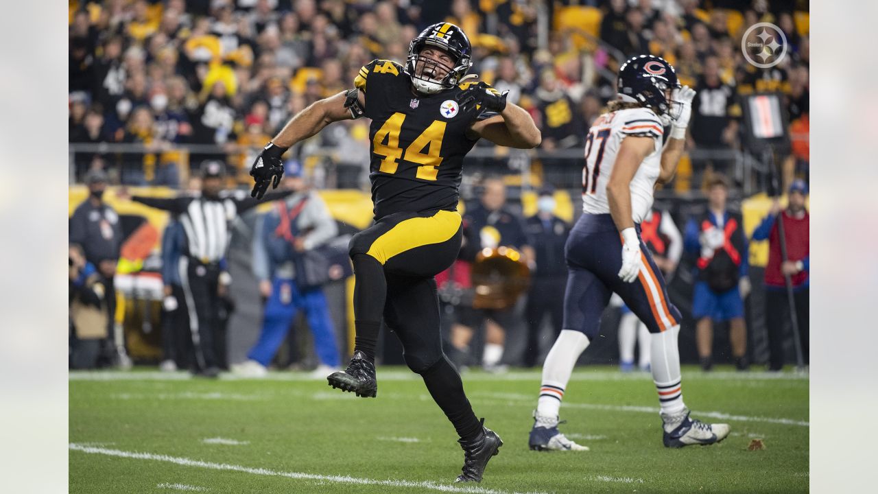 Pittsburgh Steelers fullback Derek Watt (44) celebrates his one